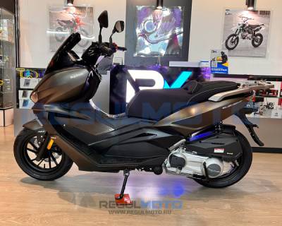 Скутер Regulmoto (Регулмото) ELEMENT 300CC 4T (LJ300T-18) EFI матовый чёрный с ПТС